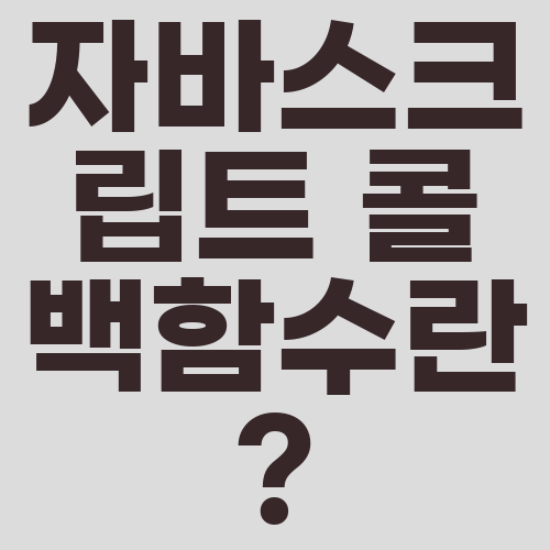 자바스크립트 콜백함수란?